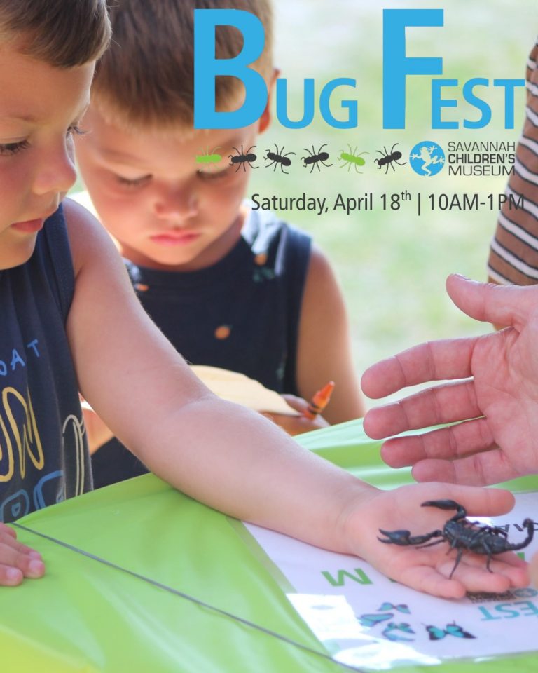 Bug Fest 2026 – CHS
